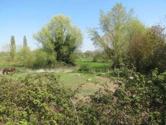  Image of 3 bedroom Detached house for sale in Throop Road Bournemouth BH8 at Throop Road  Bournemouth, BH8 0DN