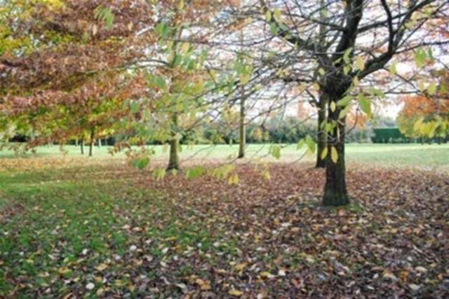  Image of 1 bedroom Flat to rent in Elder Road Bisley Woking GU24 at Woking, GU24 9SA