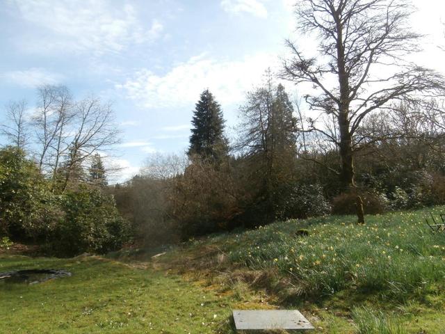  Image of 4 bedroom Detached house to rent in Lochard Road Aberfoyle Stirling FK8 at Aberfoyle Stirling Stirling, FK8 3TD