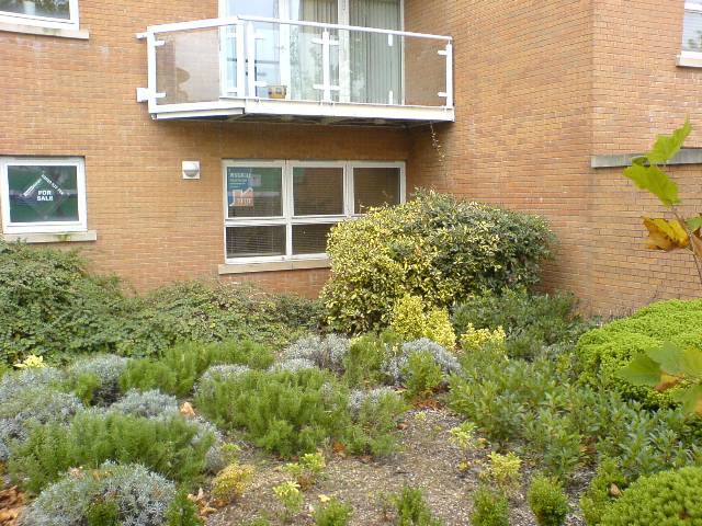  Image of 2 bedroom Flat to rent in Judkin Court Heol Tredwen Cardiff CF10 at Judkin Court Cardiff bay Grangetown, CF10 5AU