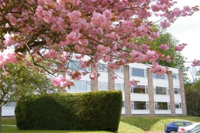  Image of 2 bedroom Flat to rent in Downswood Reigate RH2 at Reigate, RH2 0JH