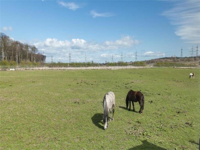  Image of 4 bedroom Detached house to rent in Dalkeith EH22 at Whitecraig East Lothian East Lothian, EH22 2NJ