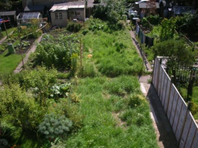  Image of 1 bedroom House Share to rent in Redland Terrace Frome BA11 at Frome Somerset Frome, BA11 1HT