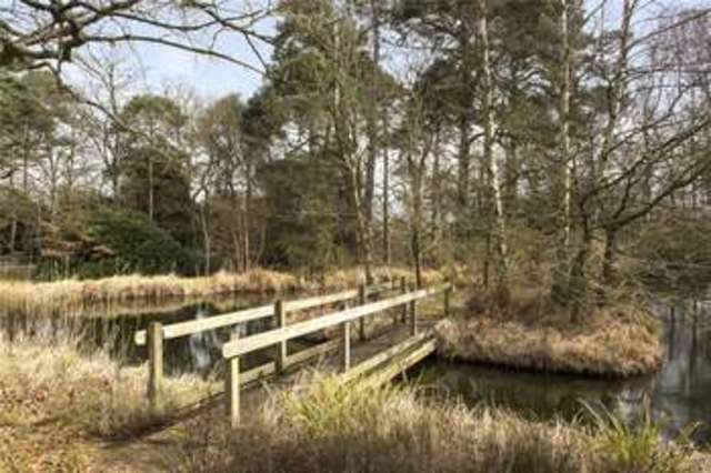  Image of 6 bedroom Detached house for sale in Forest Road Warfield Bracknell RG42 at Warfield Bracknell Winkfield Row, RG42 7QA