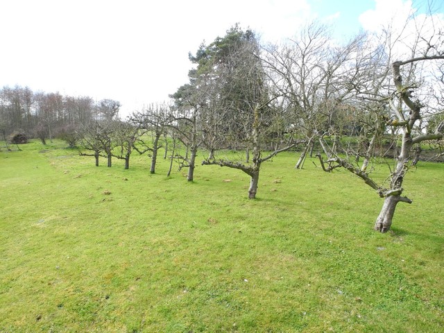  Image of 4 bedroom Detached house for sale in Mill Hill Mettingham Bungay NR35 at Mill Hill Mettingham Bungay, NR35 1TR