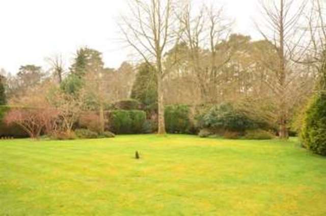  Image of 3 bedroom Bungalow for sale in Silver Wood West Chiltington Pulborough RH20 at West Chiltington West Sussex West Chiltington, RH20 2NG