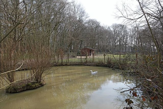  Image of 5 bedroom Detached house for sale in Stalkers Lane East Hoathly Lewes BN8 at Stalkers Lane East Hoathly Lewes, BN8 6QS