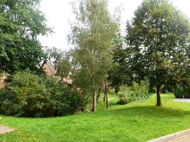  Image of 1 bedroom End of Terrace to rent in Suffolk Drive Burpham Guildford GU4 at Guildford, GU4 7FD