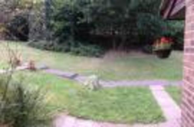 Image of 2 bedroom Terraced house to rent in Webb Close Bagshot GU19 at Bagshot, GU19 5QP