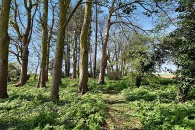  Image of 4 bedroom Detached house for sale in Hough Lane Carlton Scroop Grantham NG32 at Hough Lane Carlton Scroop Grantham, NG32 3BB