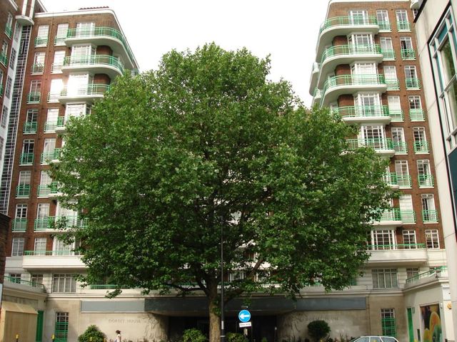  Image of 2 bedroom Flat to rent in Gloucester Place London NW1 at Gloucester Place  Marylebone, NW1 5AH