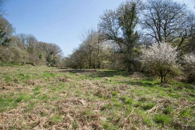  Image of 3 bedroom Detached house for sale in Germansweek Beaworthy EX21 at Germansweek  Beaworthy, EX21 5BJ