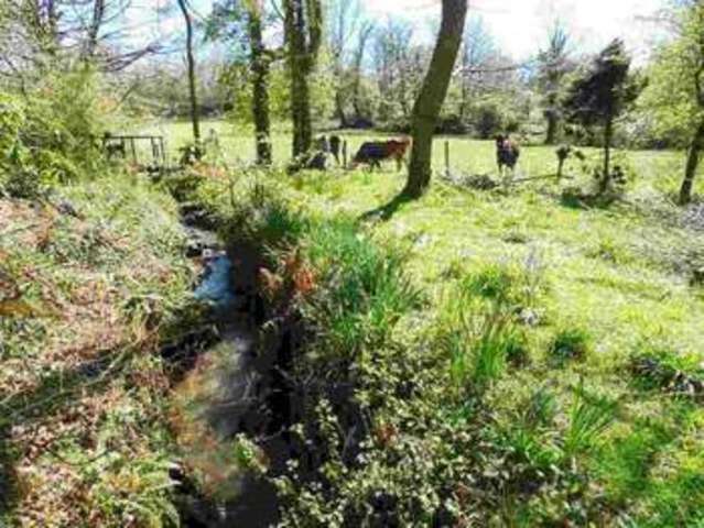  Image of 4 bedroom Detached house for sale in Wolfscastle Haverfordwest SA62 at Haverfordwest Pembrokeshire Ford, SA62 5LX