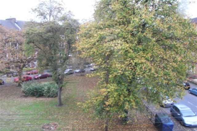  Image of 1 bedroom Flat to rent in Waverley Street Shawlands Glasgow G41 at Shawlands Glasgow Glasgow, G41 2EA