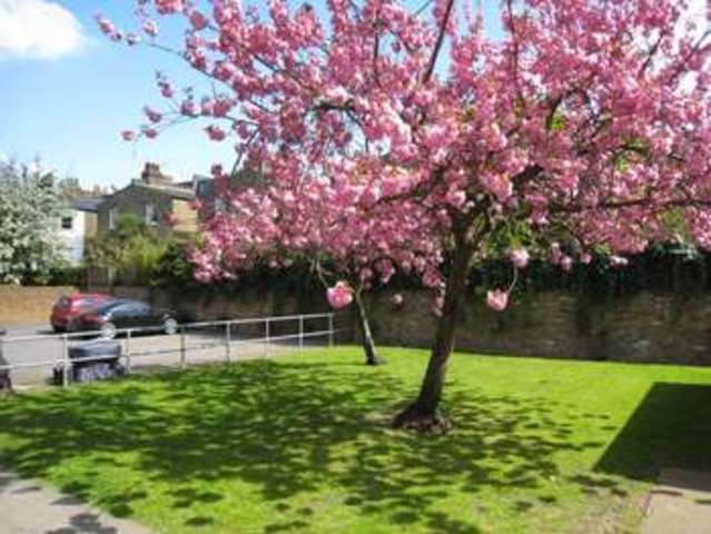  Image of 4 bedroom Flat to rent in Peterborough Road London SW6 at Peterborough Road  Parsons Green, SW6 3BT