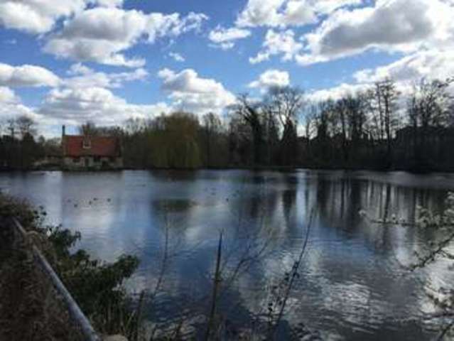  Image of House Share to rent in Bourne Road Colchester CO2 at Bourne Road  Colchester, CO2 8RS