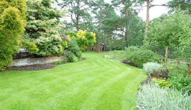  Image of 6 bedroom Detached house to rent in The Ridges Finchampstead Wokingham RG40 at The Ridges Finchampstead Finchampstead, RG40 3SY
