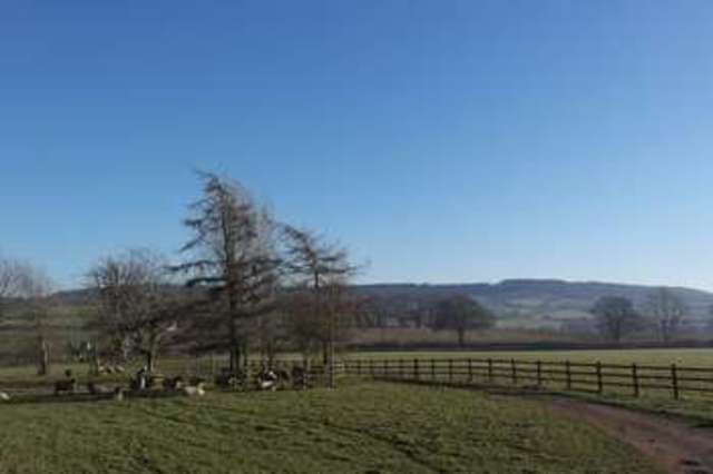  Image of 5 bedroom Terraced house for sale in Kentisbeare Cullompton EX15 at Kentisbeare Cullompton, EX15 2AP