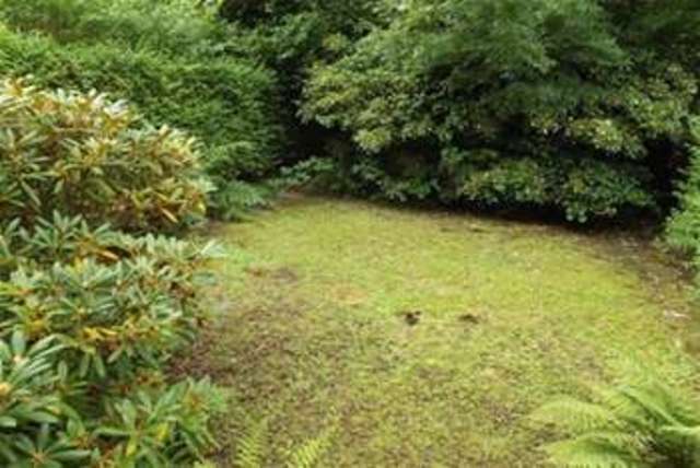  Image of 3 bedroom Flat to rent in Clachan Bridge Rosneath Helensburgh G84 at Helensburgh, G84 0RG