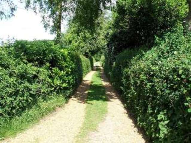  Image of 2 bedroom Cottage to rent in Morton Lane Weston Longville Norwich NR9 at Morton Lane Weston Longville Norwich, NR9 5JP