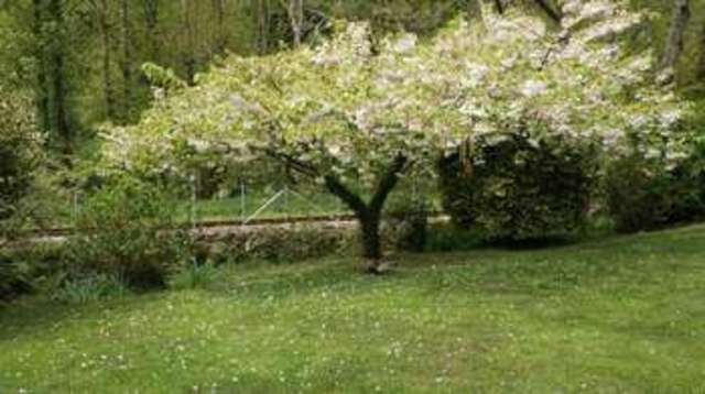  Image of 3 bedroom Detached house for sale in Looe PL13 at Looe, PL13 1PW