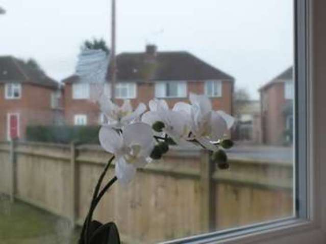  Image of 1 bedroom Flat to rent in Hazel Crescent Kidlington OX5 at Hazel Crescent  Kidlington, OX5 1EQ