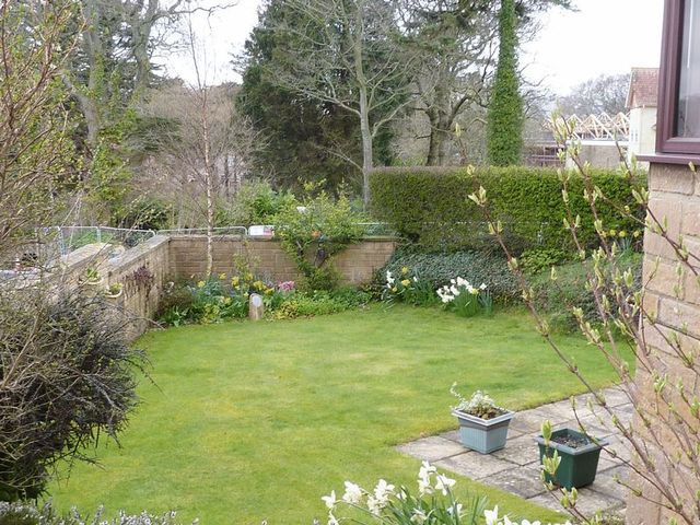  Image of 3 bedroom Detached house for sale in Pine Ridge Lyme Regis DT7 at Lyme Regis  Lyme Regis, DT7 3HP