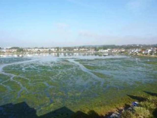 Image of 2 bedroom Flat for sale in Salterns Way Poole BH14 at 36 Salterns Way Poole Lilliput, BH14 8LW