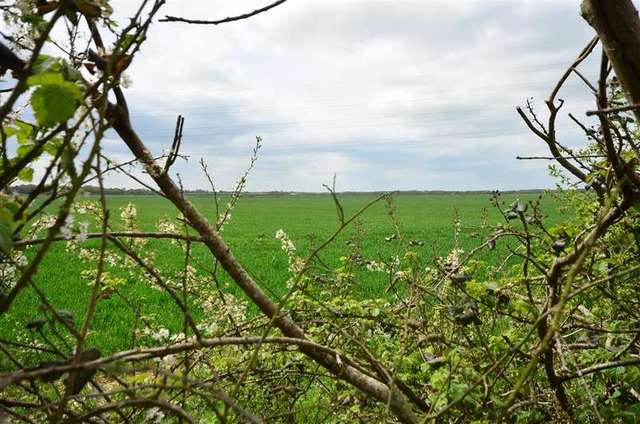  Image of 3 bedroom Terraced house for sale in Barley Way Kingsnorth Ashford TN23 at Ashford Kent Ashford, TN23 3JA