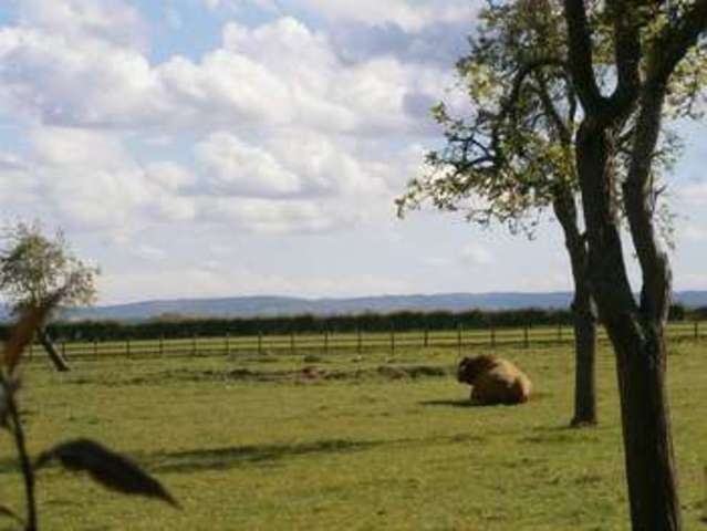  Image of 2 bedroom Semi-Detached house for sale in Bredon Lodge Bredon Tewkesbury GL20 at Bredon Lodge Bredon Tewkesbury, GL20 7LP