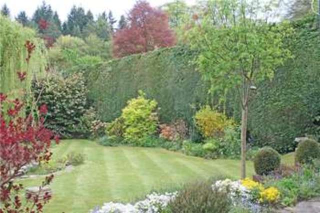  Image of 3 bedroom Detached house for sale in Brox Road Ottershaw Chertsey KT16 at Ottershaw Chertsey Ottershaw, KT16 0RD
