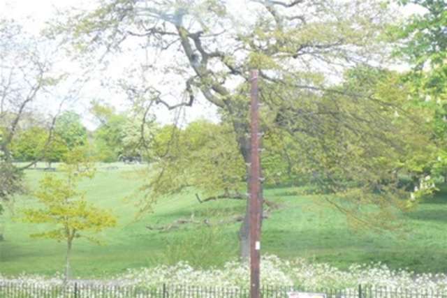  Image of 1 bedroom Flat to rent in Green Lanes London N16 at London, N16 9DJ