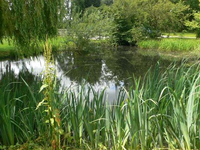 Image of 2 bedroom Flat to rent in Honiley Kenilworth CV8 at Kenilworth Kenilworth Warwickshire, CV8 1NP