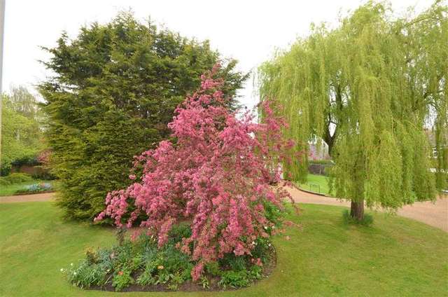  Image of 4 bedroom Detached house for sale in Pigbush Lane Loxwood Billingshurst RH14 at Loxwood West Sussex Loxwood, RH14 0QY