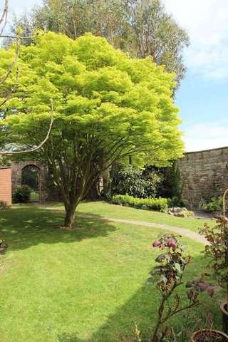  Image of 4 bedroom Detached house for sale in Sedbury Chepstow NP16 at Sedbury Park Chepstow, NP16 7EY