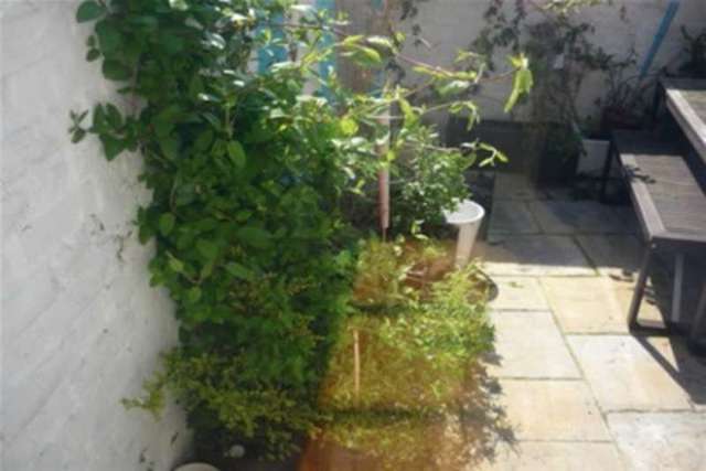  Image of 3 bedroom Detached house to rent in Shaftsbury Street Ramsgate CT11 at Ramsgate, CT11 8JG