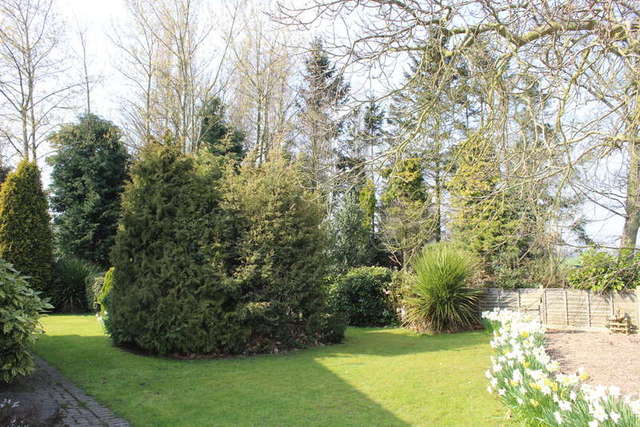  Image of 3 bedroom Detached house for sale in South Duffield Road Osgodby Selby YO8 at South Duffield Road Osgodby Barlby, YO8 5HP