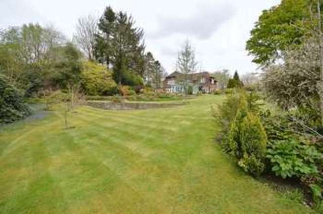  Image of 4 bedroom Detached house to rent in Square Drive Haslemere GU27 at Square Drive  Haslemere, GU27 3LW