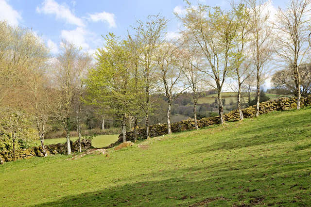  Image of 5 bedroom Land for sale in Widecombe-in-the-Moor Newton Abbot TQ13 at Widecombe In The Moor Ashburton Widecombe in the Moor, TQ13 7TR