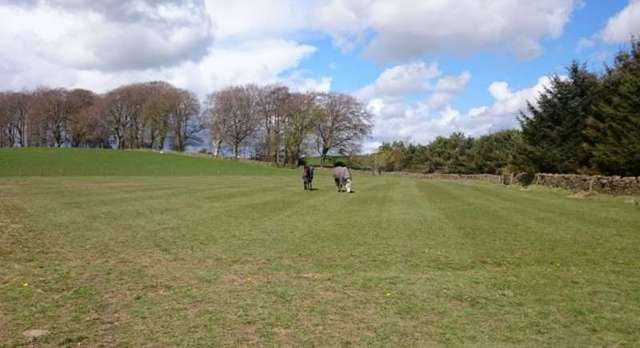  Image of 4 bedroom Cottage for sale in Mellerstain Cottages Gordon TD3 at Gordon, TD3 6LA
