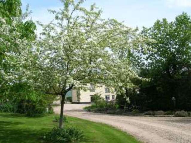  Image of 6 bedroom Property for sale in Northload Lane Theale Wedmore BS28 at Northload Lane Theale Wedmore, BS28 4SY