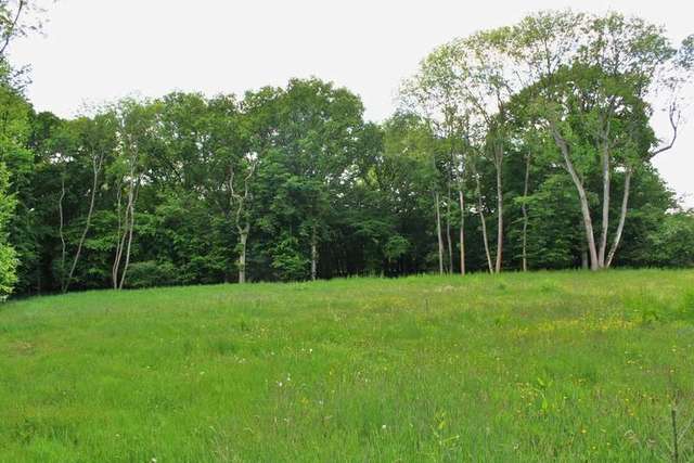  Image of 4 bedroom Land for sale in Loxwood Road Plaistow Billingshurst RH14 at Plaistow Billingshurst West Sussex, RH14 0NY