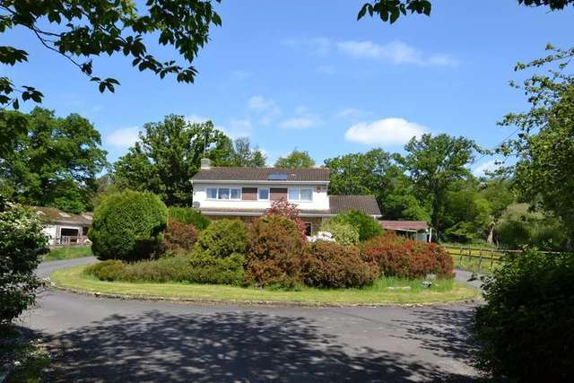  Image of 4 bedroom Detached house for sale in Arrowsmith Road Wimborne BH21 at Arrowsmith Road  Wimborne, BH21 3BG