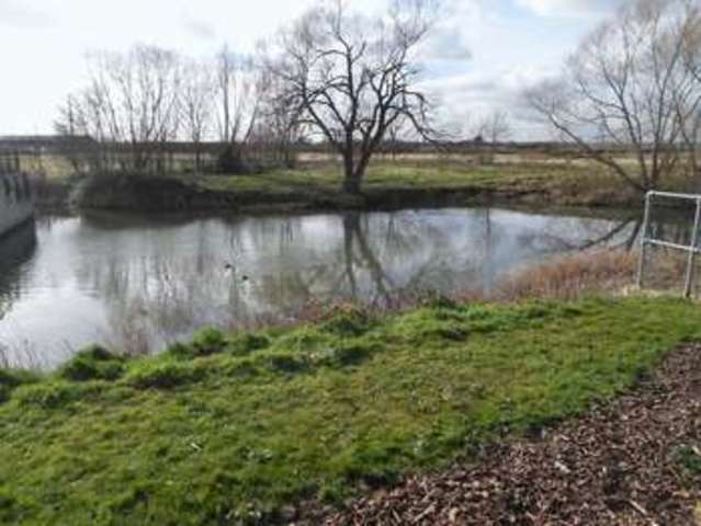  Image of 4 bedroom Terraced house to rent in Dobede Way Soham Ely CB7 at Dobede Way Soham Ely, CB7 5ZJ