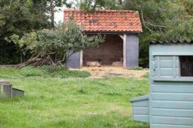  Image of 6 bedroom Detached house for sale in Harleston Road Rushall Diss IP21 at Harleston Road Rushall Diss, IP21 4RT