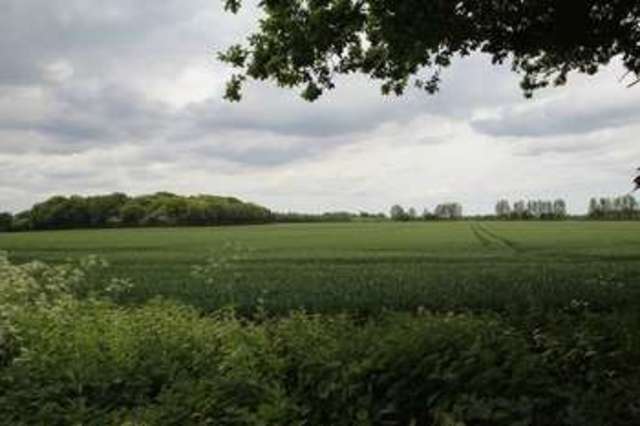  Image of 2 bedroom Property for sale in Hall Road Hemblington Norwich NR13 at Hemblington Hall Road Hemblington Norwich, NR13 4PY