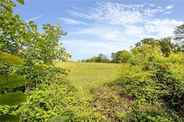  Image of 3 bedroom Semi-Detached house to rent in Hillview Deanland Sixpenny Handley Salisbury SP5 at Hillview Deanland Sixpenny Handley, Salisbury, SP5 5PG