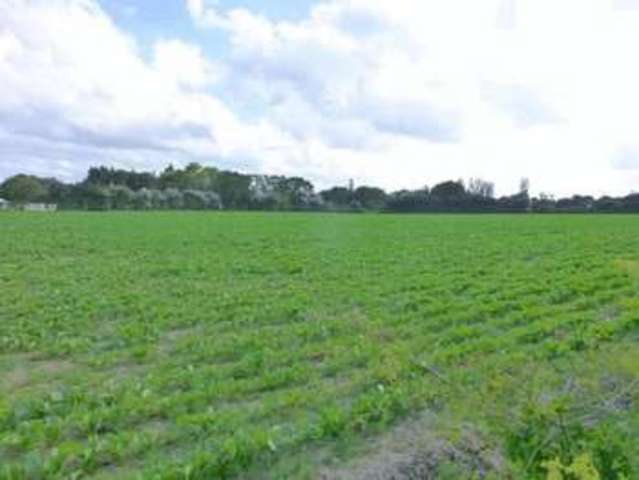  Image of 3 bedroom Detached house for sale in Sycamore Avenue Martham Great Yarmouth NR29 at Sycamore Avenue Martham Great Yarmouth, NR29 4QW