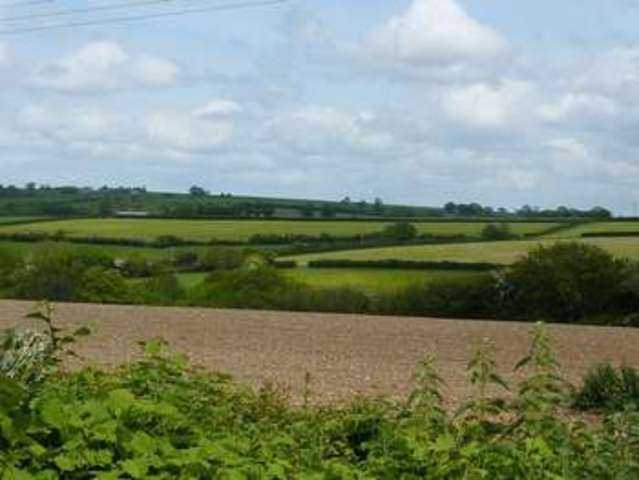  Image of 4 bedroom Detached house for sale in Sidmouth Road Rousdon Lyme Regis DT7 at Pinewood Rousdon Lyme Regis, DT7 3RD