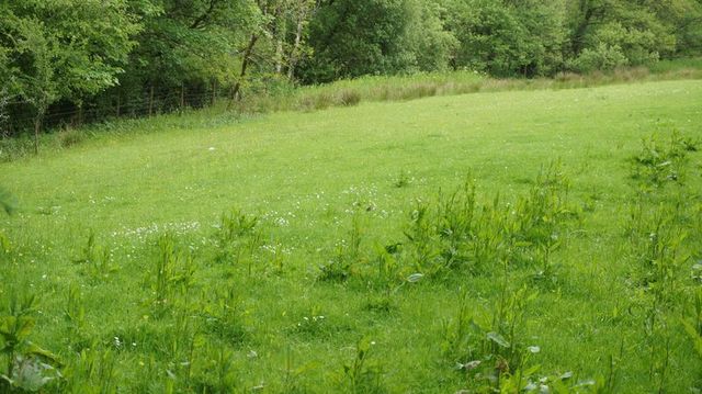  Image of Property for sale in Looe PL13 at Looe, PL13 1PW